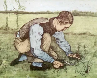 Cortador de césped